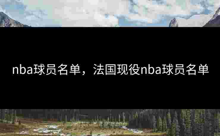 nba球员名单,法国现役nba球员名单 nba球员名单,法国现役nba球员名单