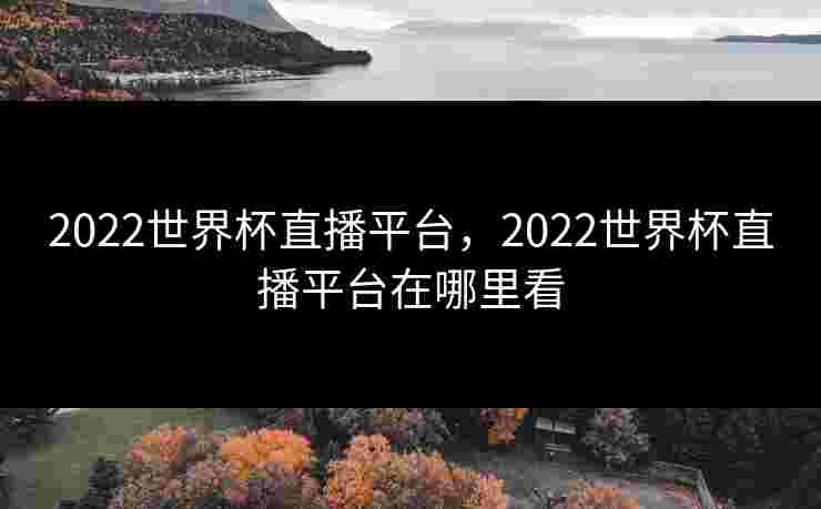 2022世界杯直播平台,2022世界杯直播平台在哪里看 2022世界杯直播平台,2022世界杯直播平台在哪里看